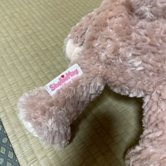 シェリーメイの画像