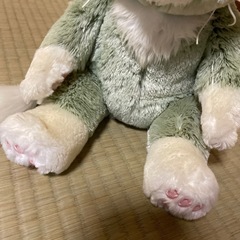 ジェラトーニの画像