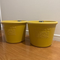 ♡新品♡エコポット浅型8号鉢2点の画像