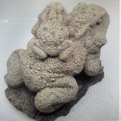 親子 蛙　かえる　置物　テラコッタ　置物　かえる　オブジェの画像