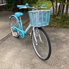 ジュニアサイクル　22インチの画像