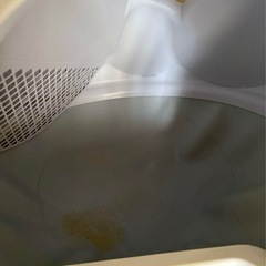猫 キャットリンク 自動トイレの画像