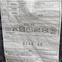 ラグ2種類の画像