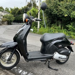 ★お値打ち価格★  ホンダ　トゥデイ50 の画像