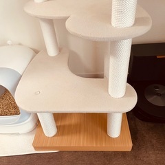 キャットタワー　　サンドベージュ色の画像