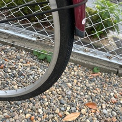 26インチ自転車の画像