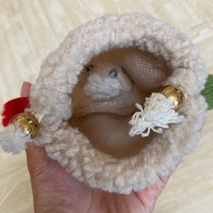 くずみちゃん　ポーチ　人気の画像