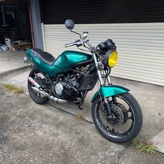 rz250r 29L 1XG エンジン51L 2スト2st 値下げ可の画像