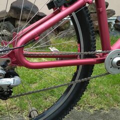 エルスワース specialist ellsworth トライアル プレイバイクの画像
