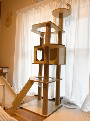キャットタワー
