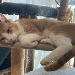 バツイチで君津市に住んでます☺️ - メンバー募集