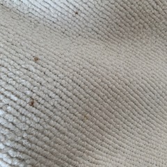 カインズ　絨毯　まとめ売りの画像