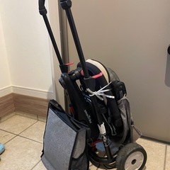 smarTrike 三輪車の画像