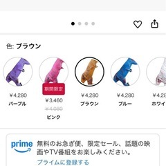 ティラノサウルス　の画像