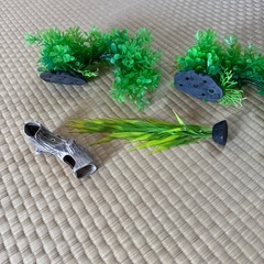 水槽装飾品　　の画像