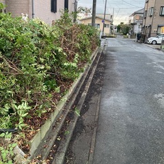 充電式剪定バサミ✂️の画像
