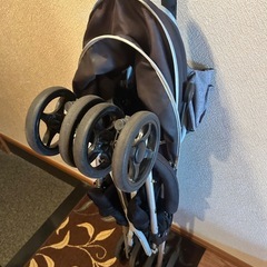 バギーfenロングプラスの画像