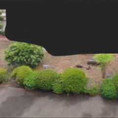 植栽・岩の撤去