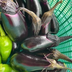 本日の採りたて夏野菜🥒🍆🫑の画像