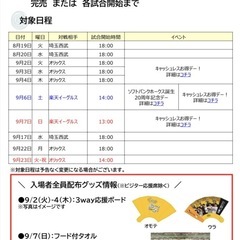 ホークス  観戦チケット！ ペイペイドーム   ソフトバンク 野球 PayPayドーム 4名分まで可の画像