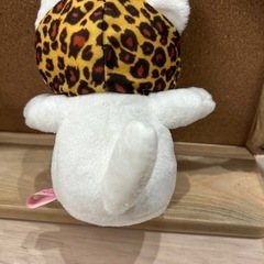 可愛い頭巾猫ちゃんの画像