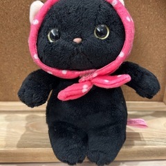 可愛い頭巾猫ちゃんの画像