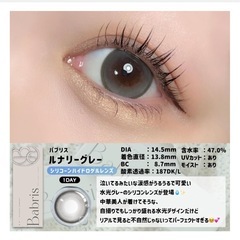 バブリス ルナリーグレー 2箱(ワンデー10枚入×2箱)の画像