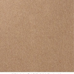 【新品】tajima タイルカーペット　ブラウンの画像