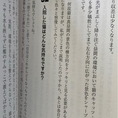 猫に関する100問100答の画像