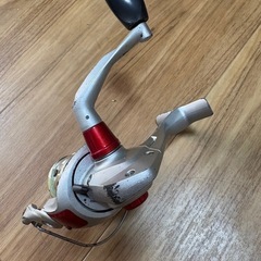 リールの画像