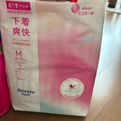 大人用紙パンツ及び尿漏れパッドの画像