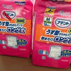 大人用紙パンツ及び尿漏れパッドの画像