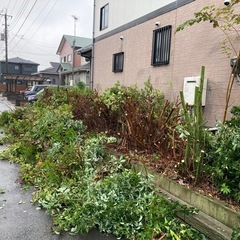 🆘お悩み事解決します😃 - 地元のお店