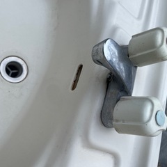 🚰🐒　洗面台の画像