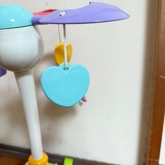 メリーの画像