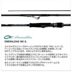ダイワ エメラルダス MX IL 80MLM・N  インターラインの画像