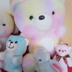 無料⭐️ぬいぐるみの画像