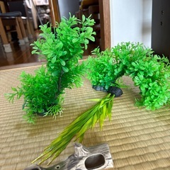 水槽装飾品　　の画像