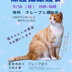 保護猫譲渡会9月14日(日)