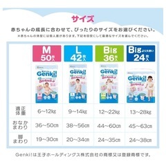 Genki!  Lサイズ　42枚入り　2パックの画像