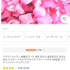 フラワーシャワー　中古品の画像