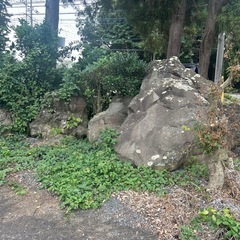 庭石の画像