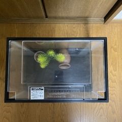水槽GEX マリーナLブラック　備品付きの画像