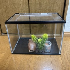 水槽GEX マリーナLブラック　備品付きの画像