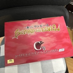 キッドの画像