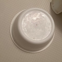 お風呂イス お風呂桶 2個セットの画像