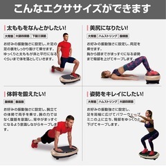 BODY SCULPTURE振動マシン　パワーウェーブミニ ブルブルマシーン ダイエット痩身器具 リモコン、マット付きの画像