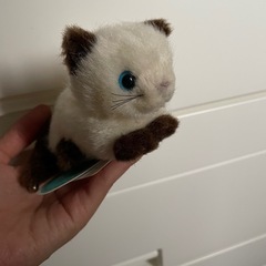 イルカ、ネコぬいぐるみの画像