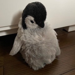イルカ、ネコぬいぐるみの画像