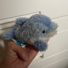 イルカ、ネコぬいぐるみの画像